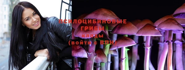 сатива Балахна