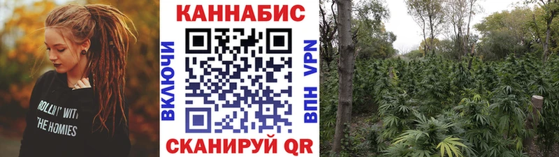 Каннабис семена  закладка  Щёлкино 
